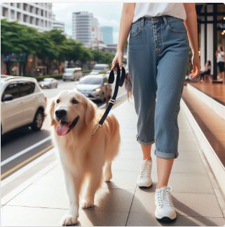 Private Walks