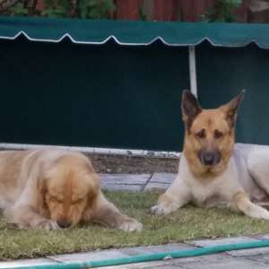 Ruby and Gretchen