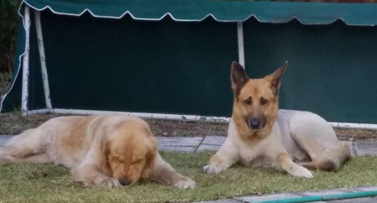 Ruby and Gretchen